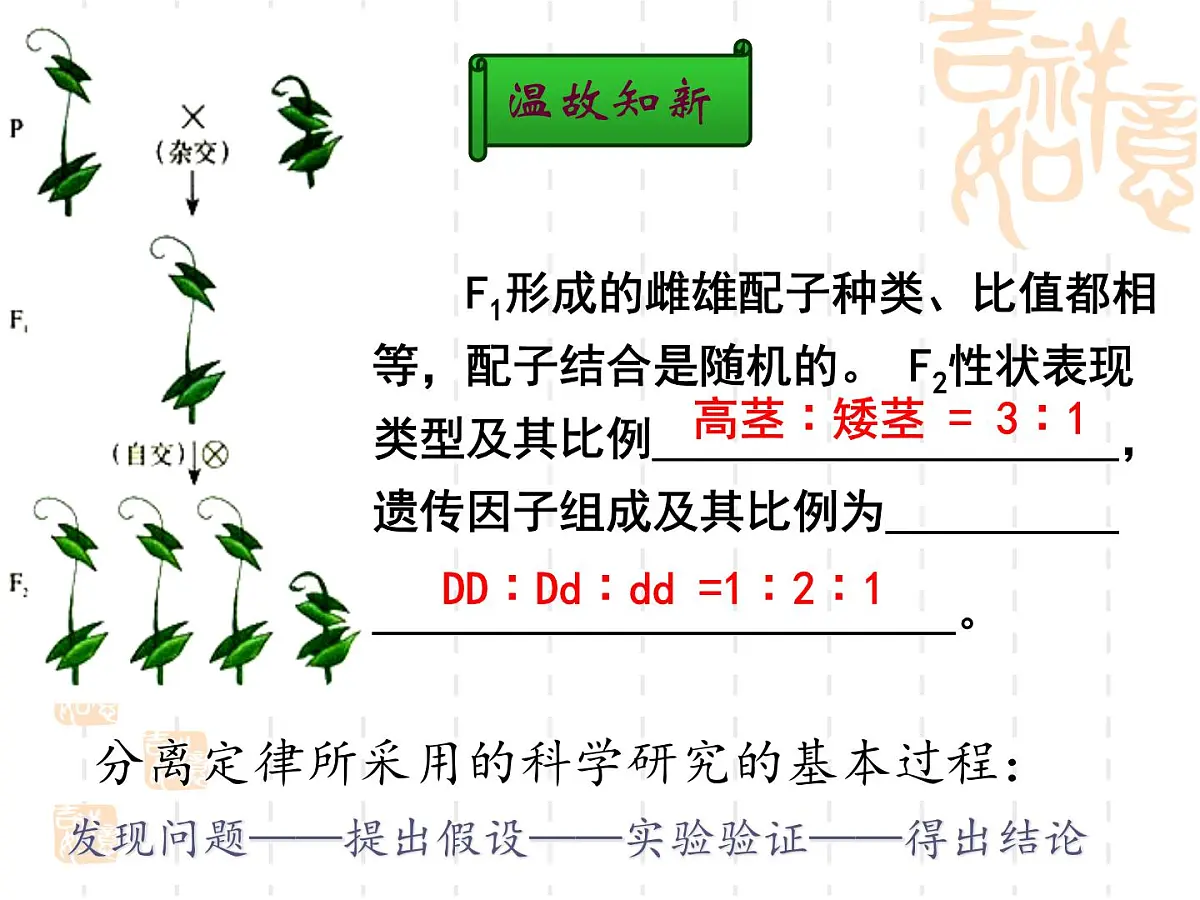 人教版 (新课标)高中生物 必修2 1-2《孟德尔的豌豆杂交实验(二)》(第1课时)公课件第2页