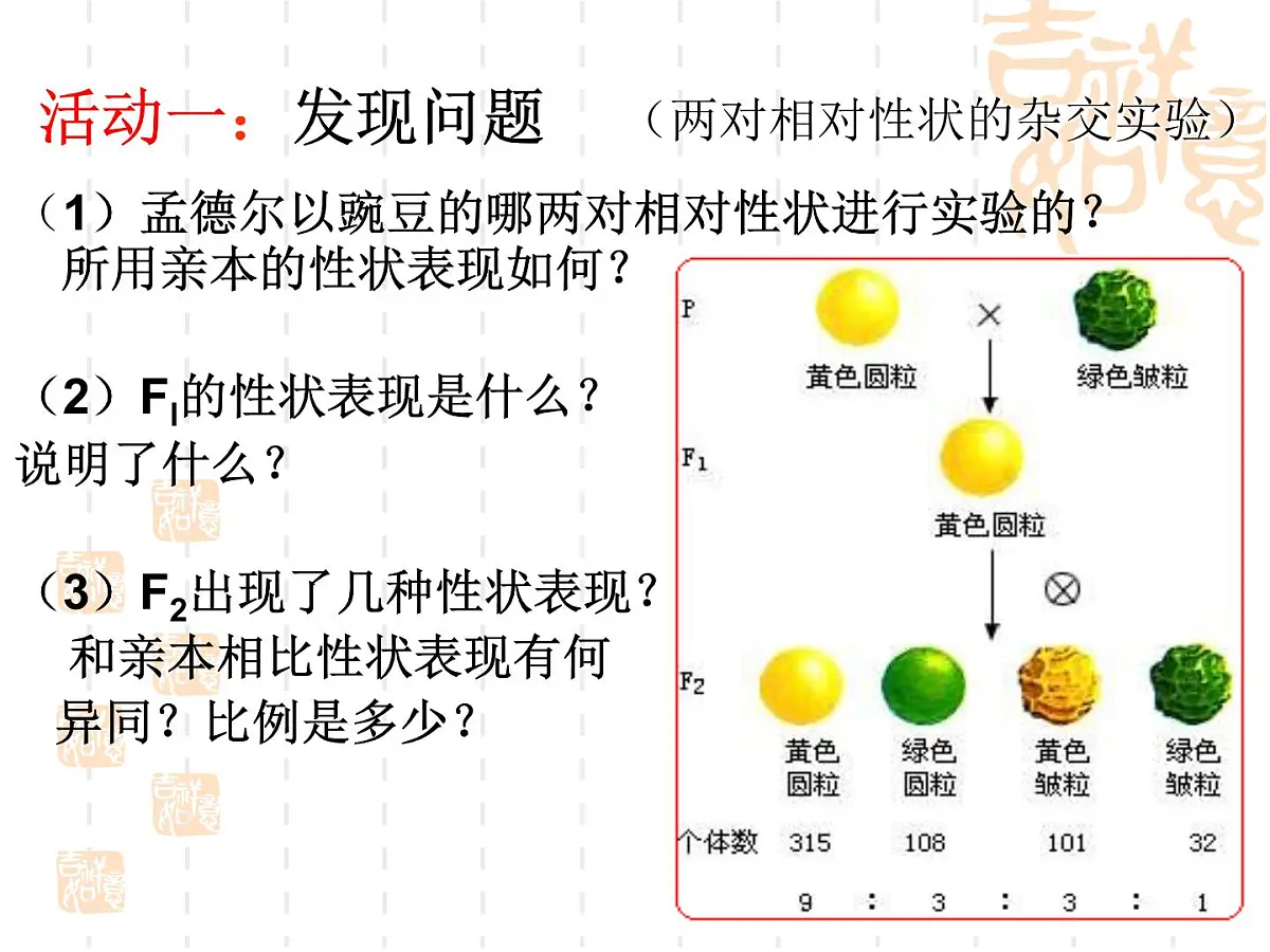 人教版 (新课标)高中生物 必修2 1-2《孟德尔的豌豆杂交实验(二)》(第1课时)公课件第3页