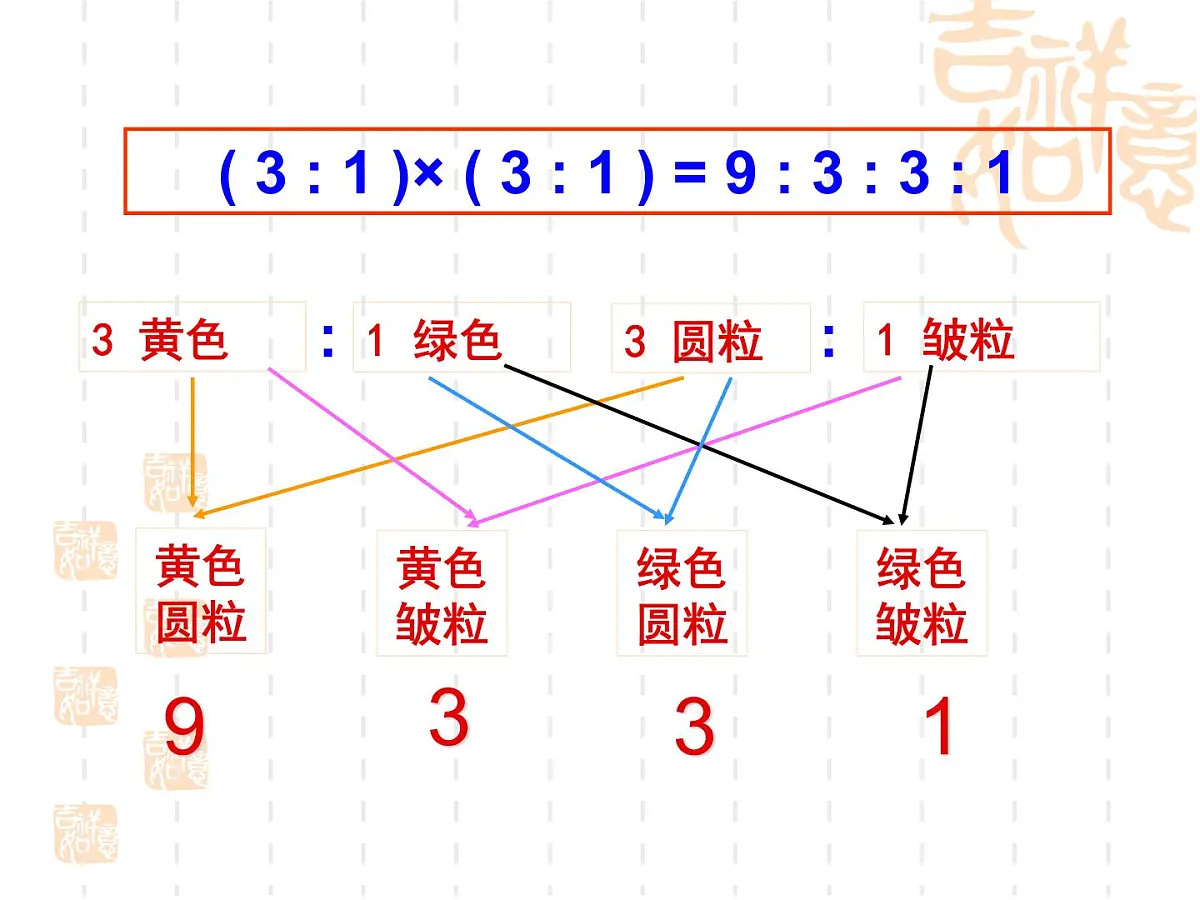 人教版 (新课标)高中生物 必修2 1-2《孟德尔的豌豆杂交实验(二)》(第1课时)公课件第6页