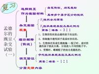 人教版 (新课标)必修2《遗传与进化》孟德尔的豌豆杂交实验(二)课文课件ppt