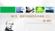 人教版 (新课标)必修2《遗传与进化》孟德尔的豌豆杂交实验(二)教学课件ppt