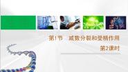 生物必修2《遗传与进化》受精作用教学ppt课件