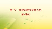 高中生物人教版 (新课标)必修2《遗传与进化》受精作用复习ppt课件