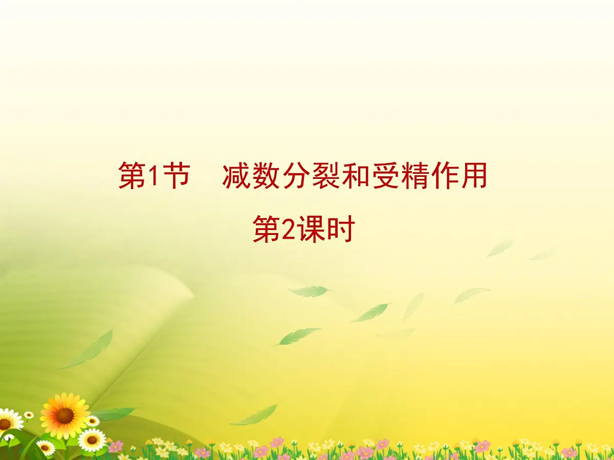 人教版 (新课标)高中生物 必修2 2-1《减数分裂和受精作用》第2课时复习课件第1页
