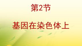 高中生物人教版 (新课标)必修2《遗传与进化》基因在染色体上课文内容课件ppt