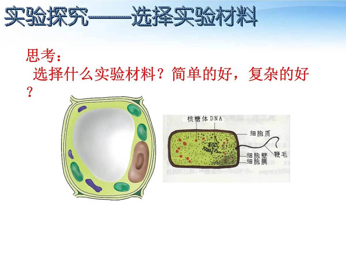 人教版 (新课标)高中生物 必修2 3-1《DNA是主要的遗传物质》课件第3页