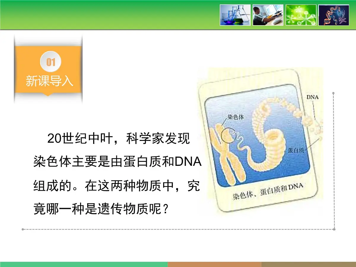 人教版 (新课标)高中生物 必修2 3-1《DNA是主要的遗传物质》课件第3页