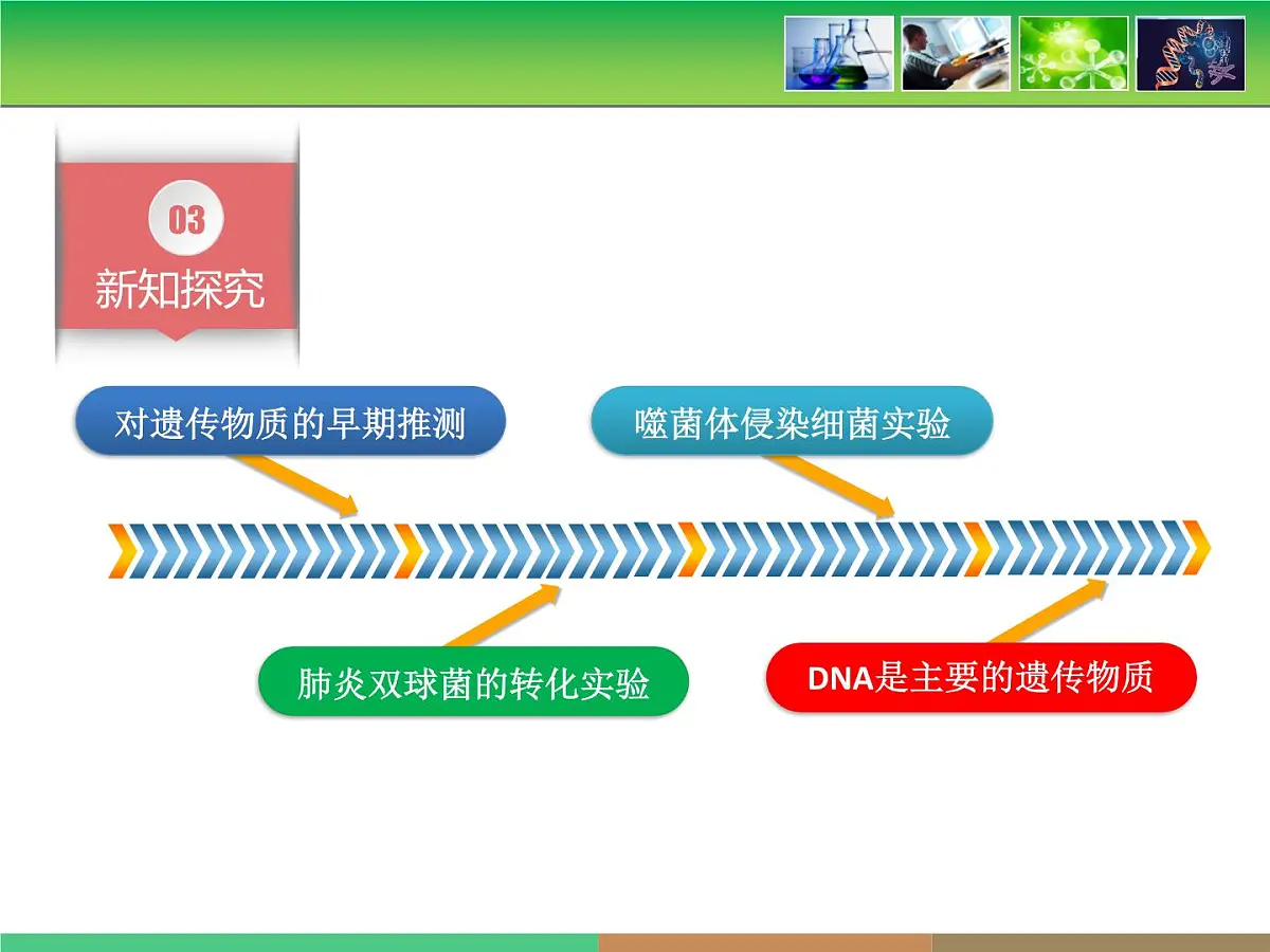 人教版 (新课标)高中生物 必修2 3-1《DNA是主要的遗传物质》课件第5页