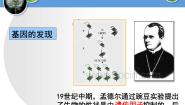 高中生物人教版 (新课标)必修2《遗传与进化》DNA是主要的遗传物质课文ppt课件