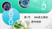 人教版 (新课标)必修2《遗传与进化》DNA是主要的遗传物质复习ppt课件