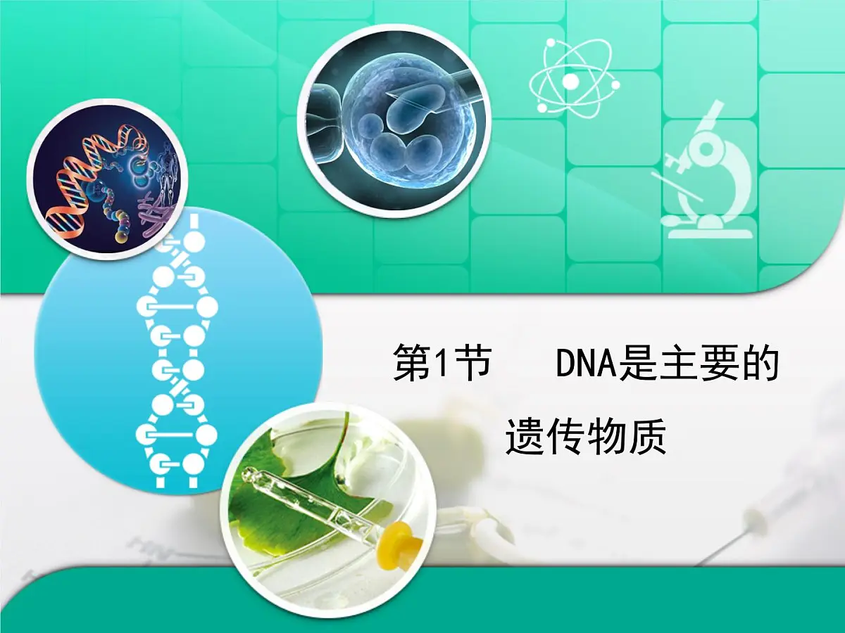 人教版 (新课标)高中生物 必修2 3-1《DNA是主要的遗传物质》复习课件第1页