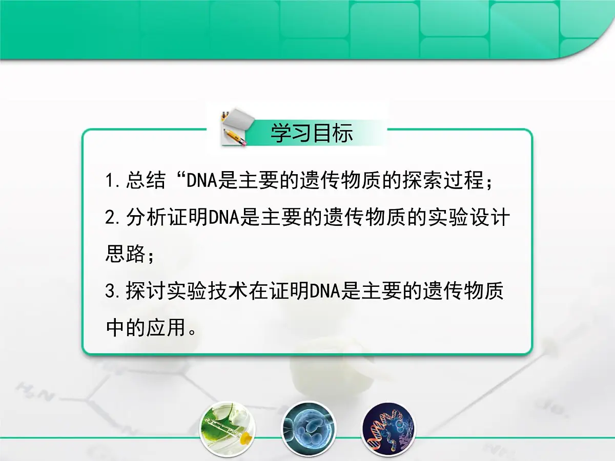 人教版 (新课标)高中生物 必修2 3-1《DNA是主要的遗传物质》复习课件第2页