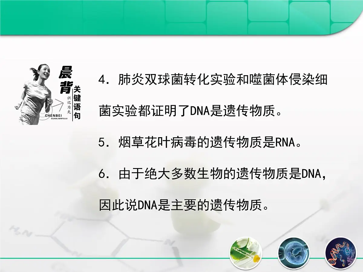 人教版 (新课标)高中生物 必修2 3-1《DNA是主要的遗传物质》复习课件第4页