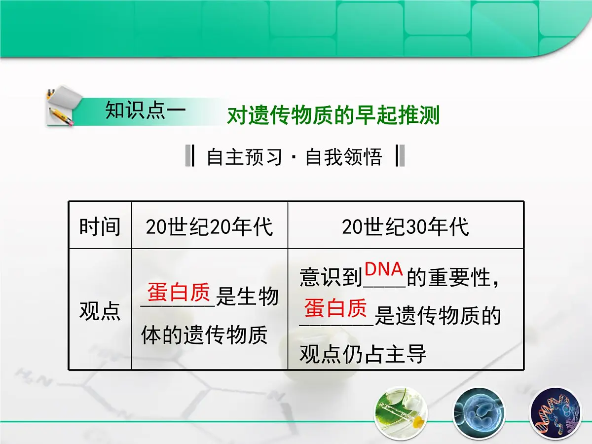 人教版 (新课标)高中生物 必修2 3-1《DNA是主要的遗传物质》复习课件第5页