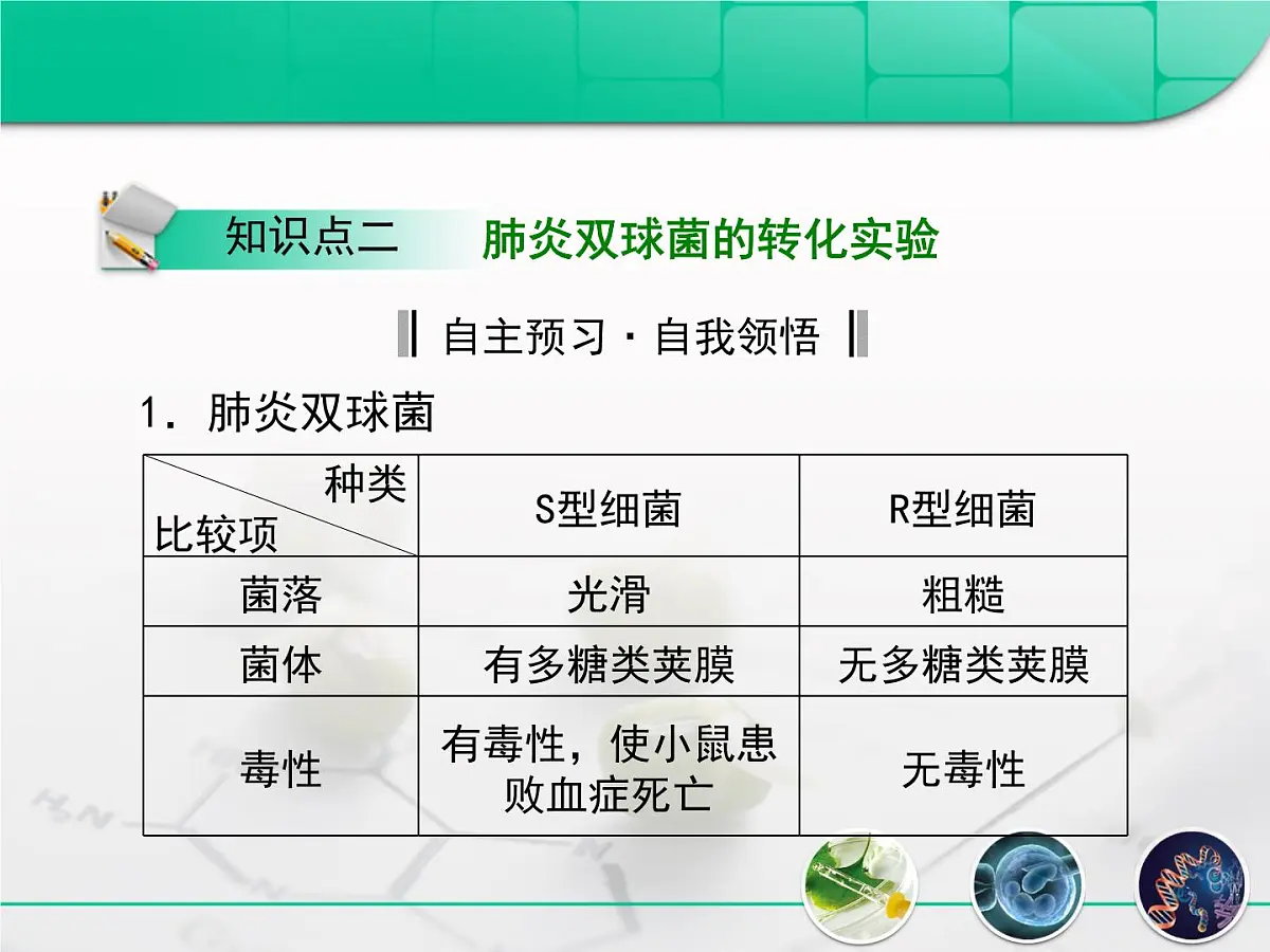 人教版 (新课标)高中生物 必修2 3-1《DNA是主要的遗传物质》复习课件第7页