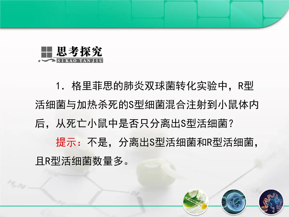 人教版 (新课标)高中生物 必修2 3-1《DNA是主要的遗传物质》复习课件第8页