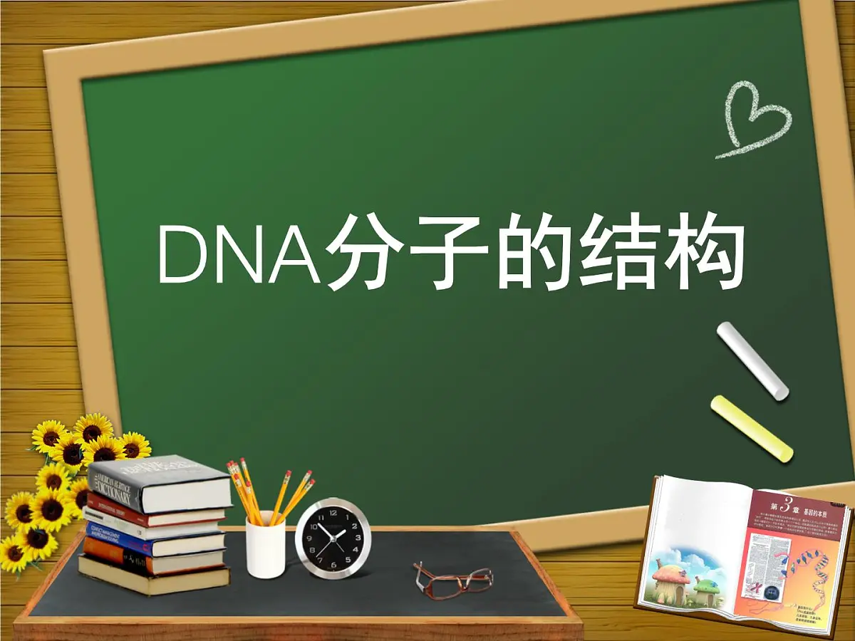 人教版 (新课标)高中生物 必修2 3-2《DNA分子的结构》课件第1页