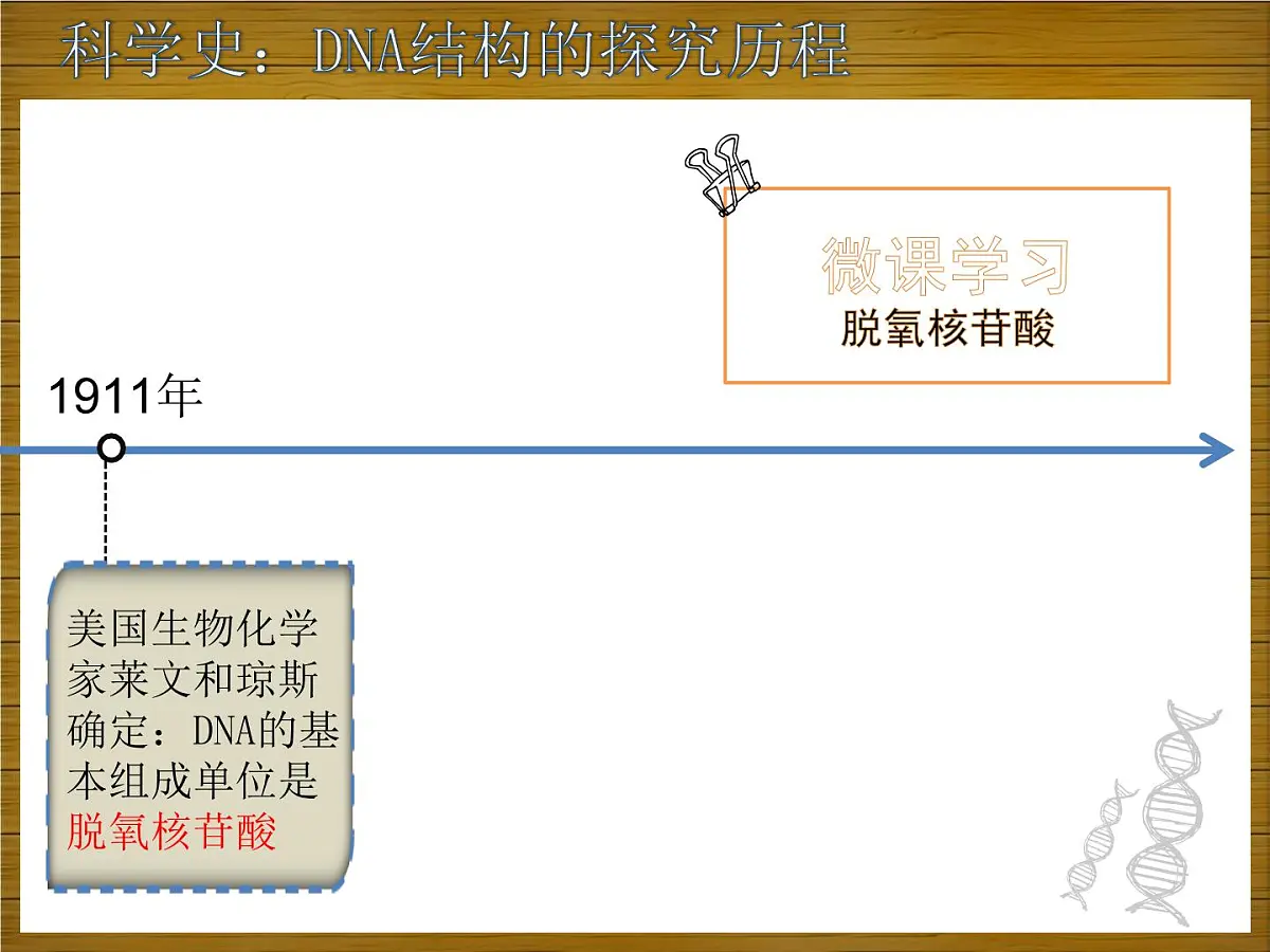 人教版 (新课标)高中生物 必修2 3-2《DNA分子的结构》课件第2页