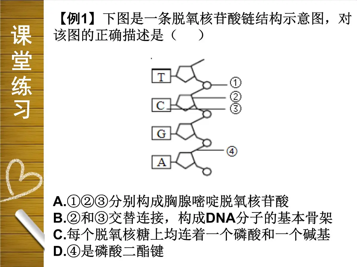 人教版 (新课标)高中生物 必修2 3-2《DNA分子的结构》课件第7页