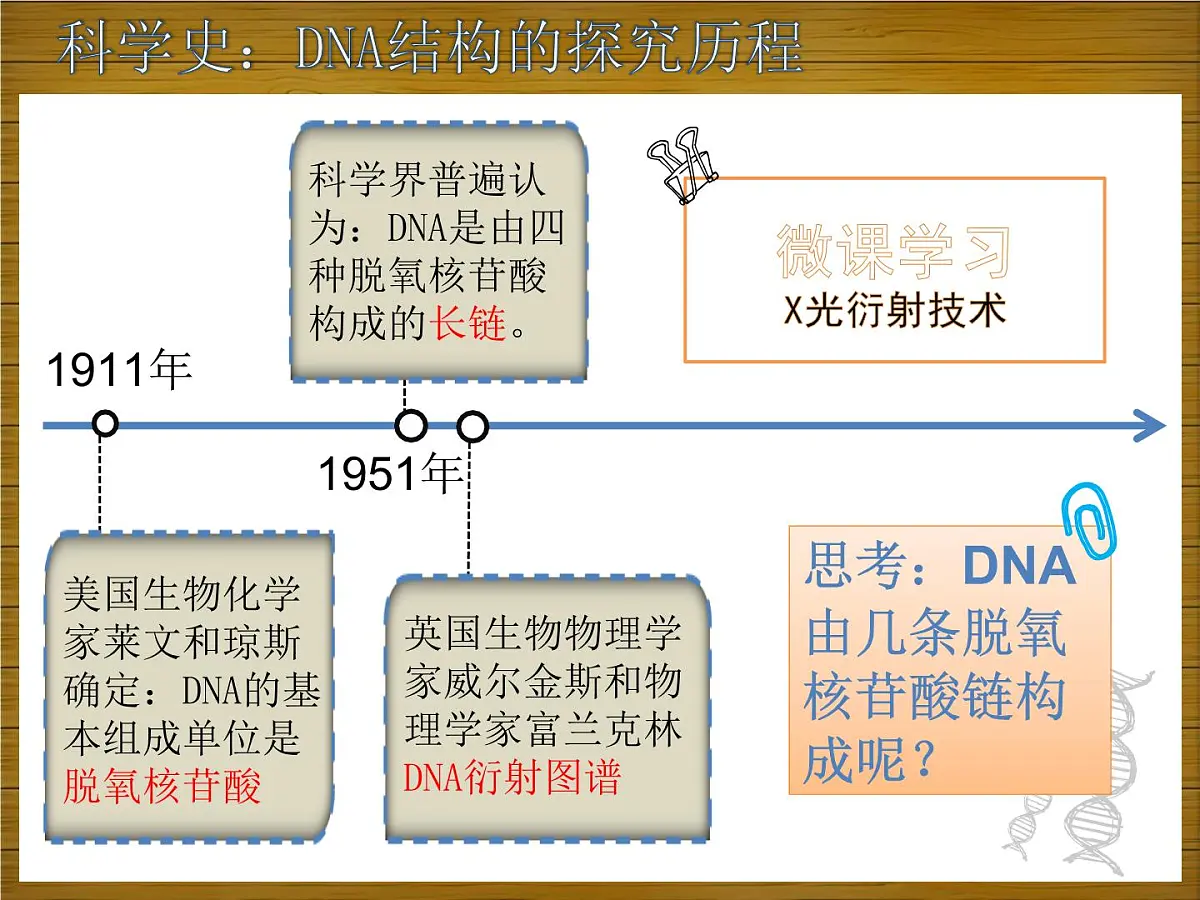 人教版 (新课标)高中生物 必修2 3-2《DNA分子的结构》课件第8页