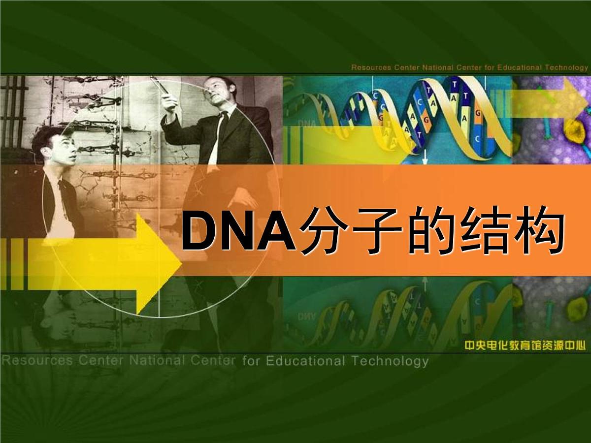 人教版 (新课标)高中生物 必修2 3-2《DNA分子的结构》课件第1页
