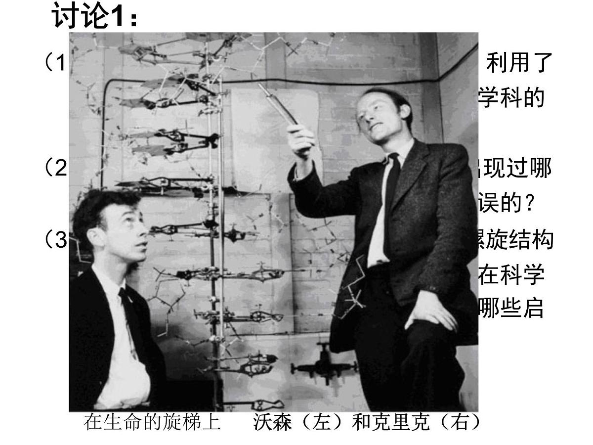 人教版 (新课标)高中生物 必修2 3-2《DNA分子的结构》课件第3页