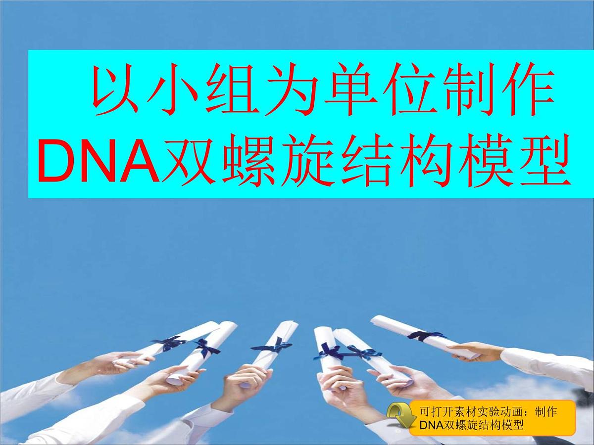 人教版 (新课标)高中生物 必修2 3-2《DNA分子的结构》课件第7页