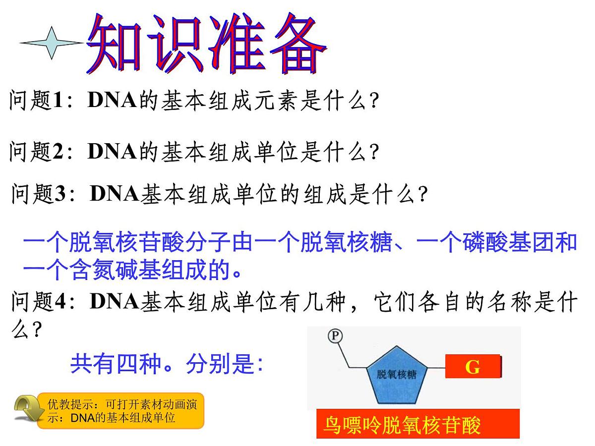 人教版 (新课标)高中生物 必修2 3-2《DNA分子的结构》课件第8页