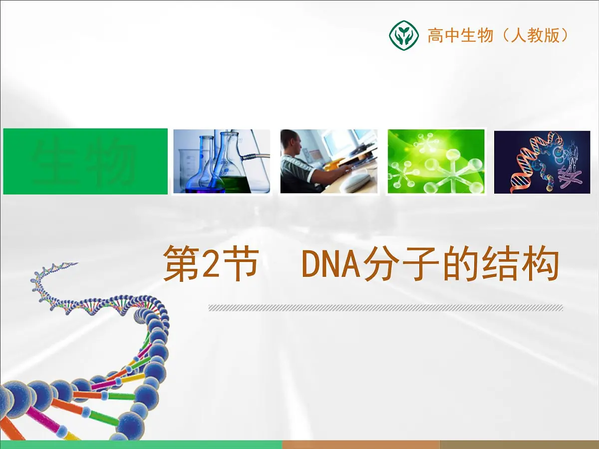人教版 (新课标)高中生物 必修2 3-2《DNA分子的结构》课件第1页