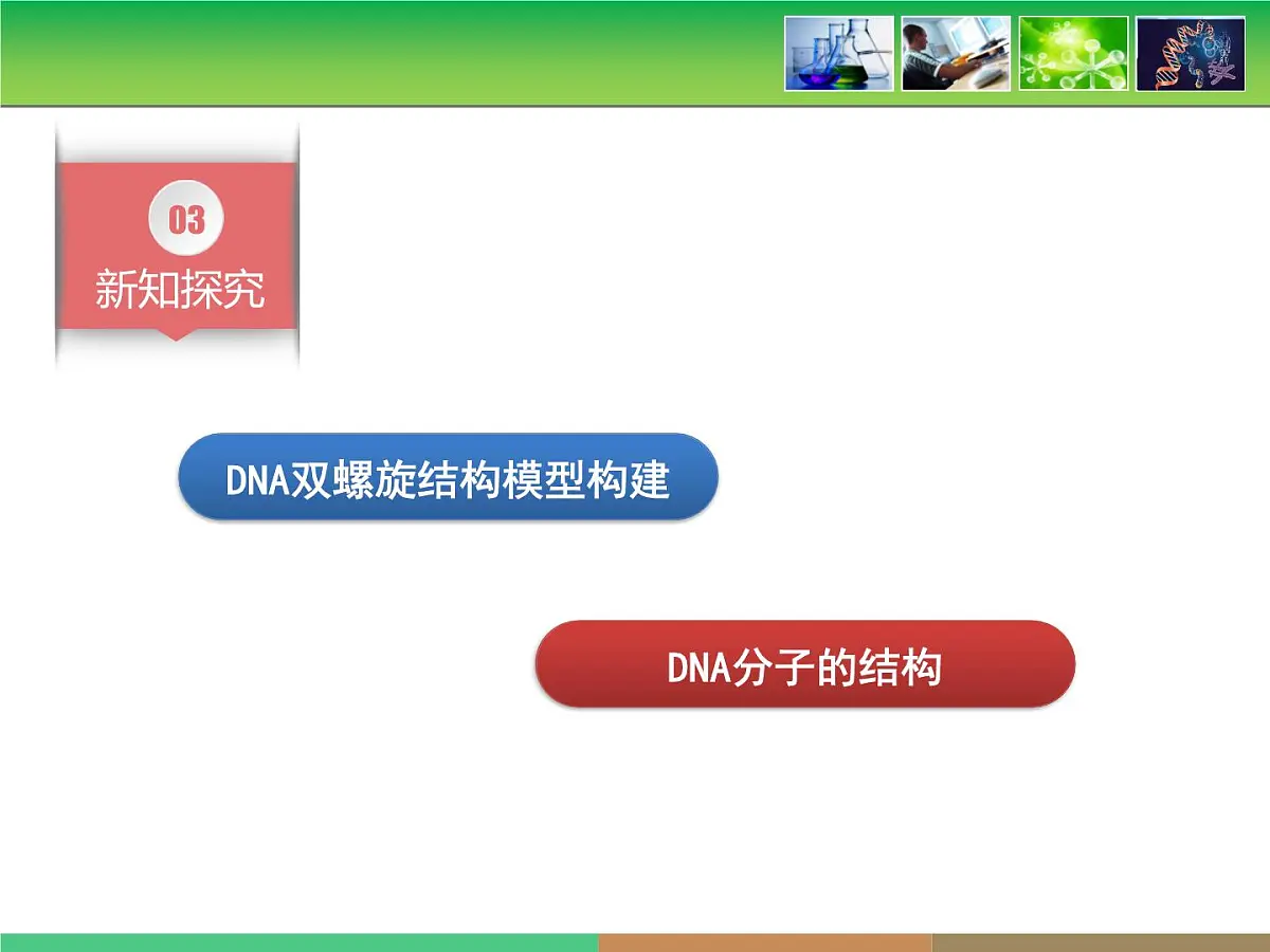 人教版 (新课标)高中生物 必修2 3-2《DNA分子的结构》课件第5页