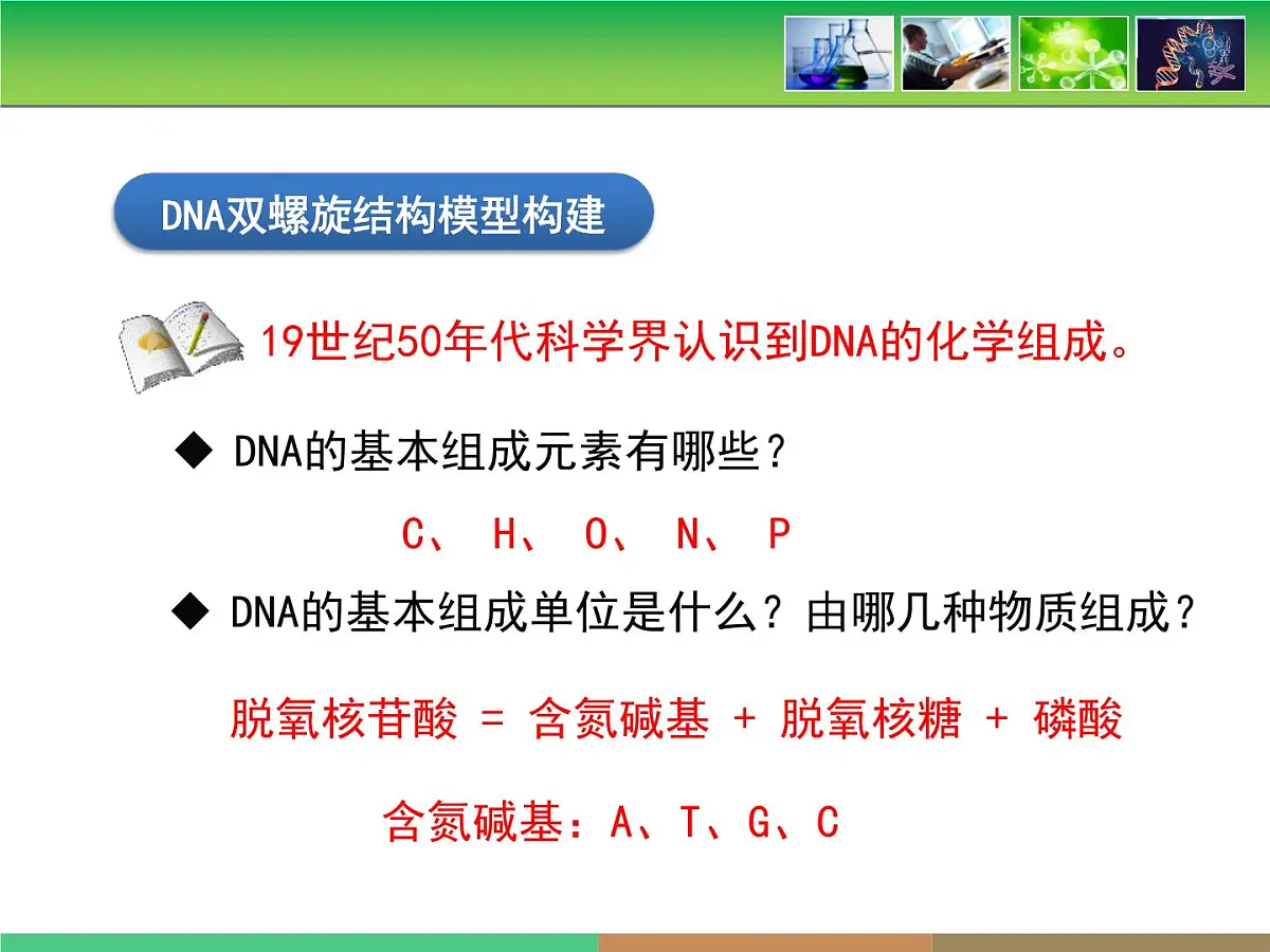 人教版 (新课标)高中生物 必修2 3-2《DNA分子的结构》课件第6页
