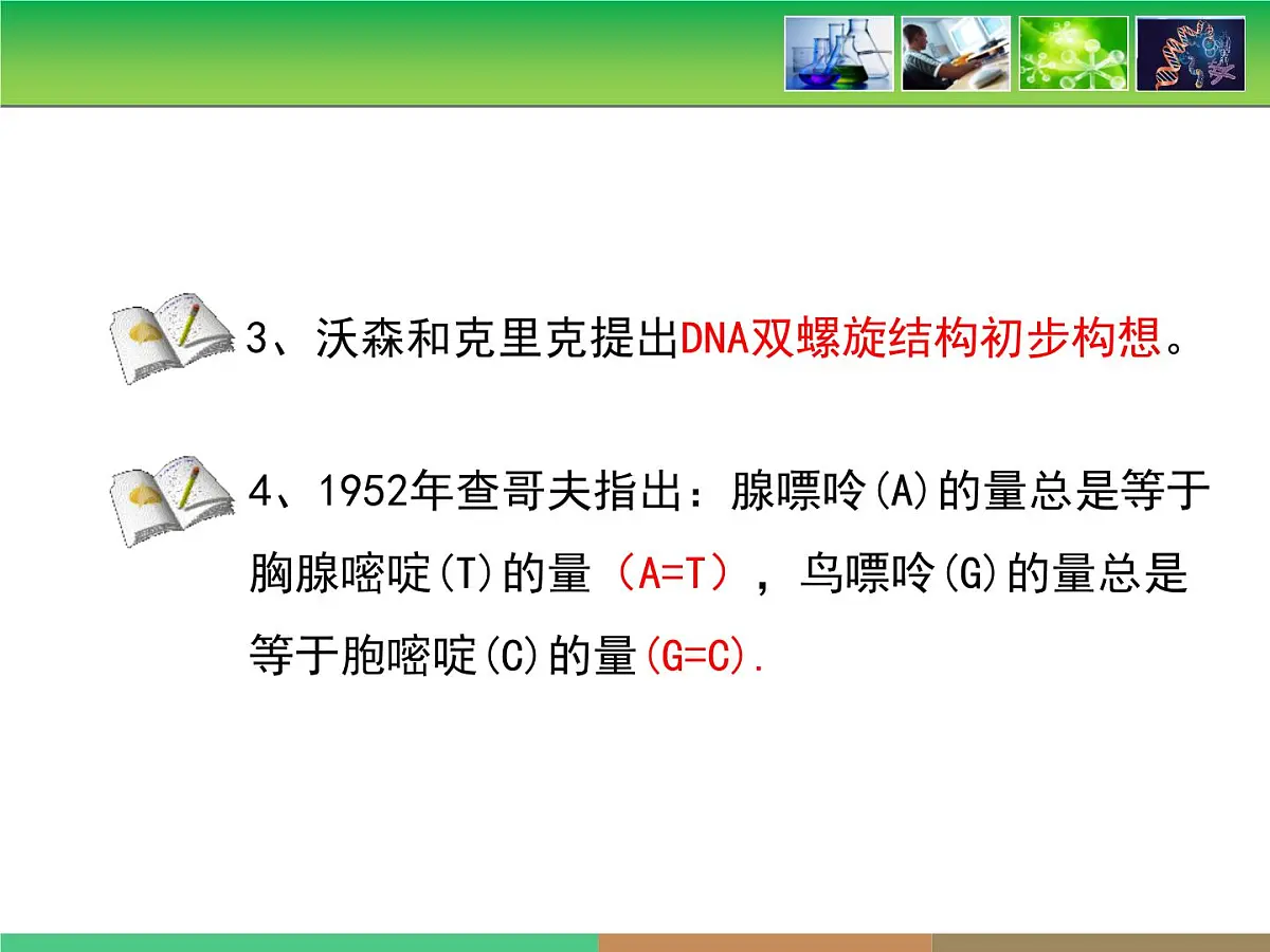 人教版 (新课标)高中生物 必修2 3-2《DNA分子的结构》课件第8页