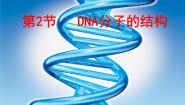 高中生物人教版 (新课标)必修2《遗传与进化》DNA分子的结构教案配套课件ppt