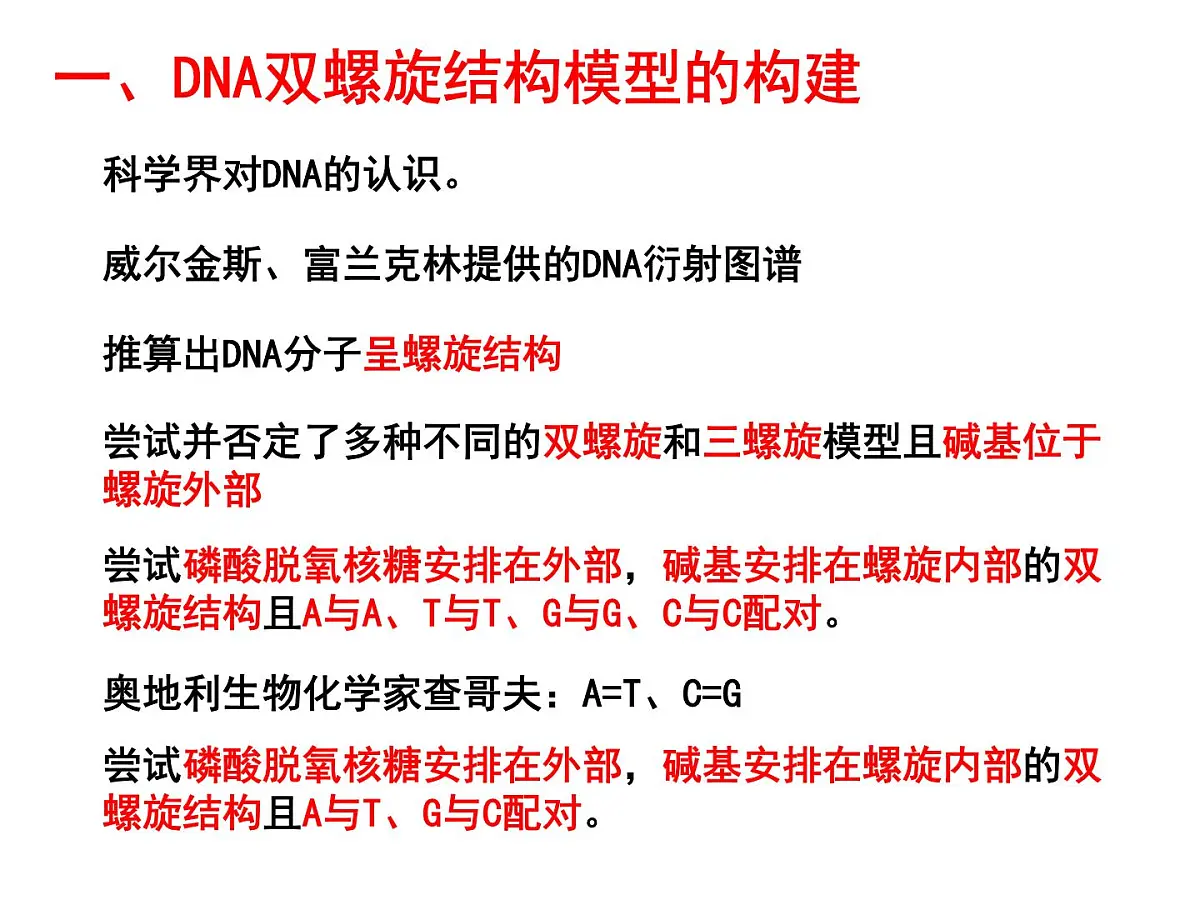 人教版 (新课标)高中生物 必修2 3-2《DNA分子的结构》课件第5页