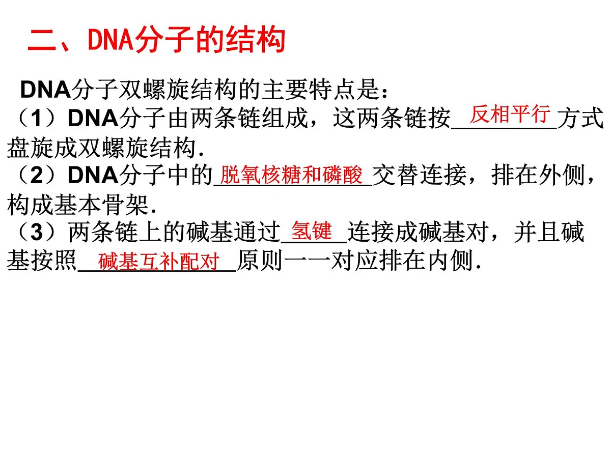 人教版 (新课标)高中生物 必修2 3-2《DNA分子的结构》课件第6页