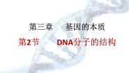生物必修2《遗传与进化》DNA分子的结构教课ppt课件