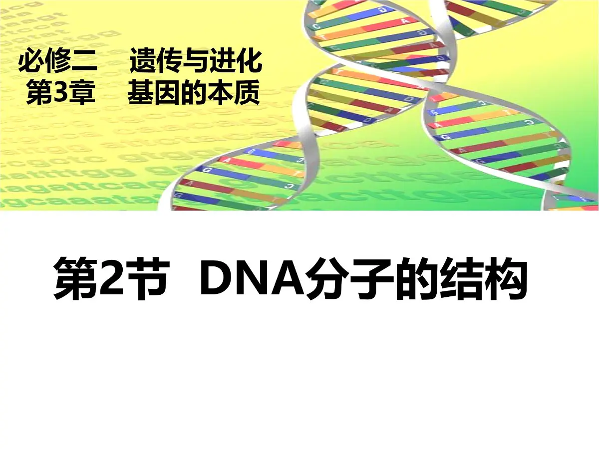 人教版 (新课标)高中生物 必修2 3-2《DNA分子的结构》课件第1页
