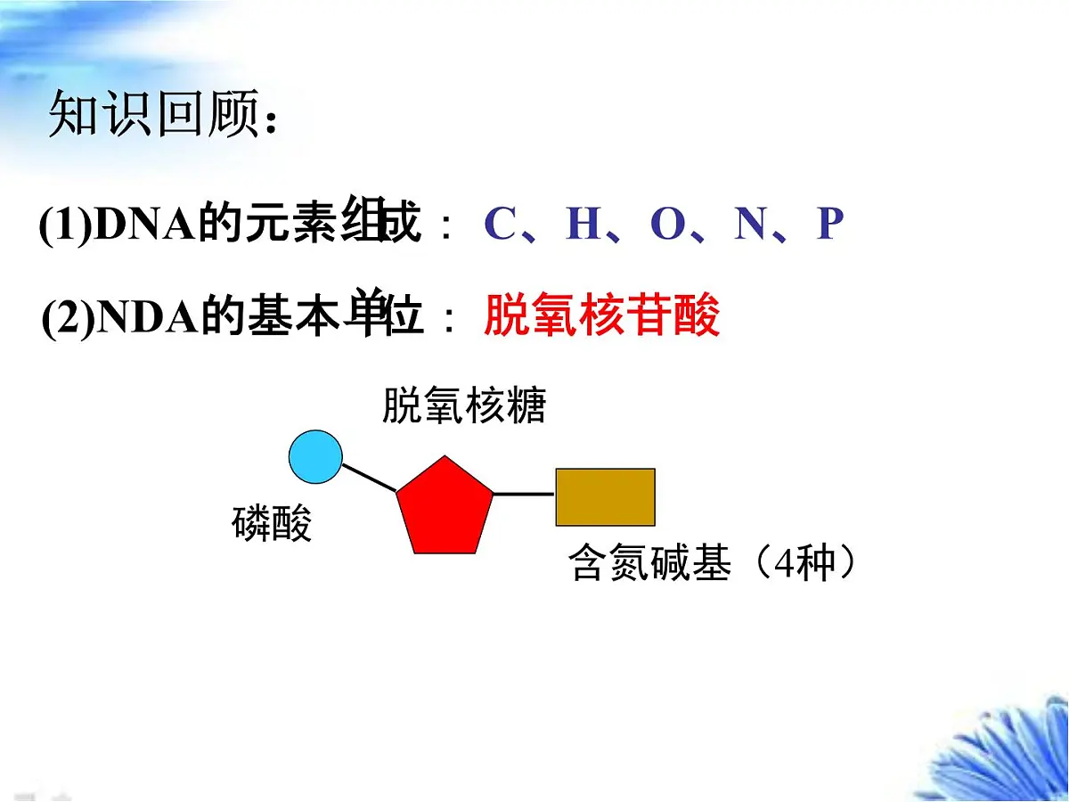 人教版 (新课标)高中生物 必修2 3-2《DNA分子的结构》课件第4页