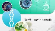 高中DNA分子的结构复习ppt课件