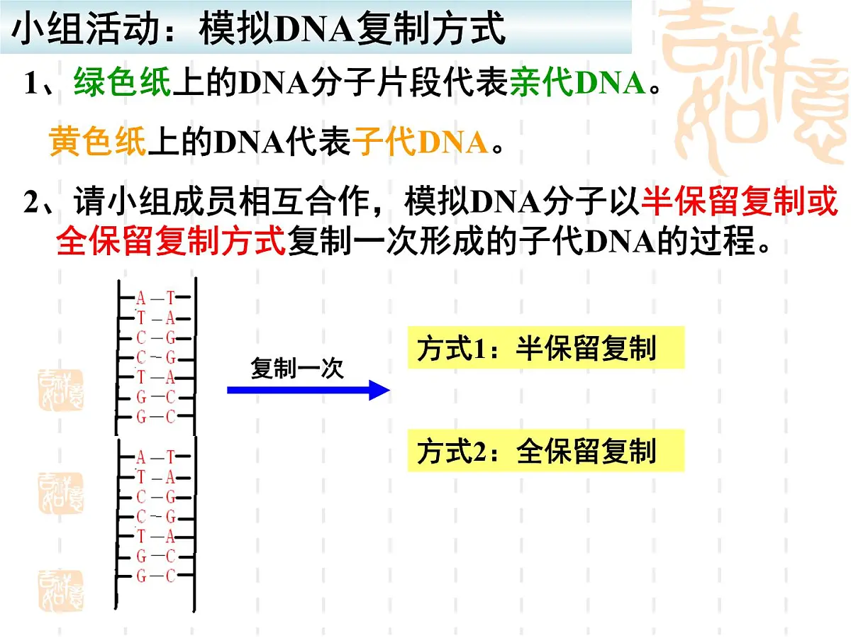 人教版 (新课标)高中生物 必修2 3-3《DNA的复制》课件第5页