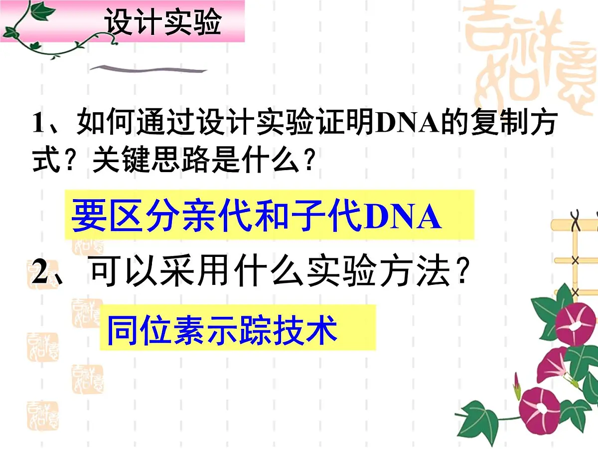人教版 (新课标)高中生物 必修2 3-3《DNA的复制》课件第7页