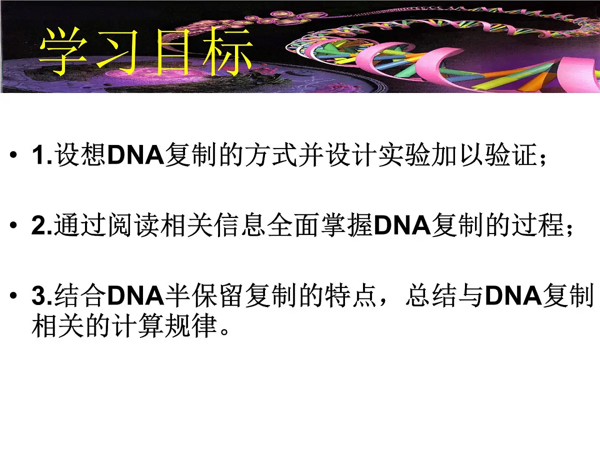 人教版 (新课标)高中生物 必修2 3-3《DNA的复制》课件第2页