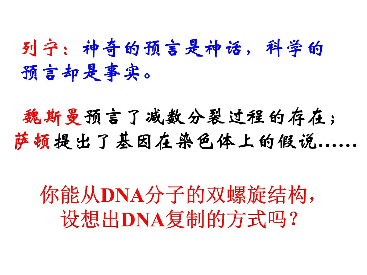 人教版 (新课标)高中生物 必修2 3-3《DNA的复制》课件第3页