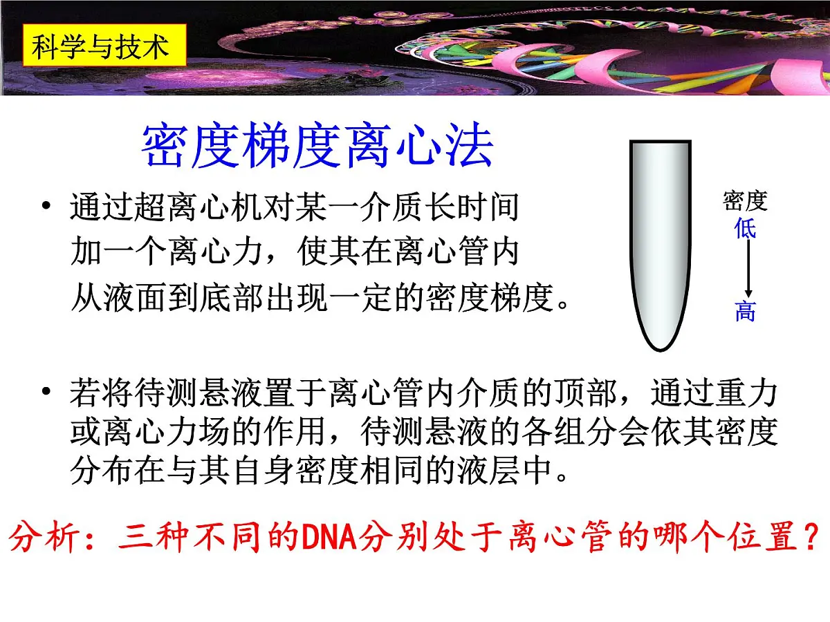 人教版 (新课标)高中生物 必修2 3-3《DNA的复制》课件第7页
