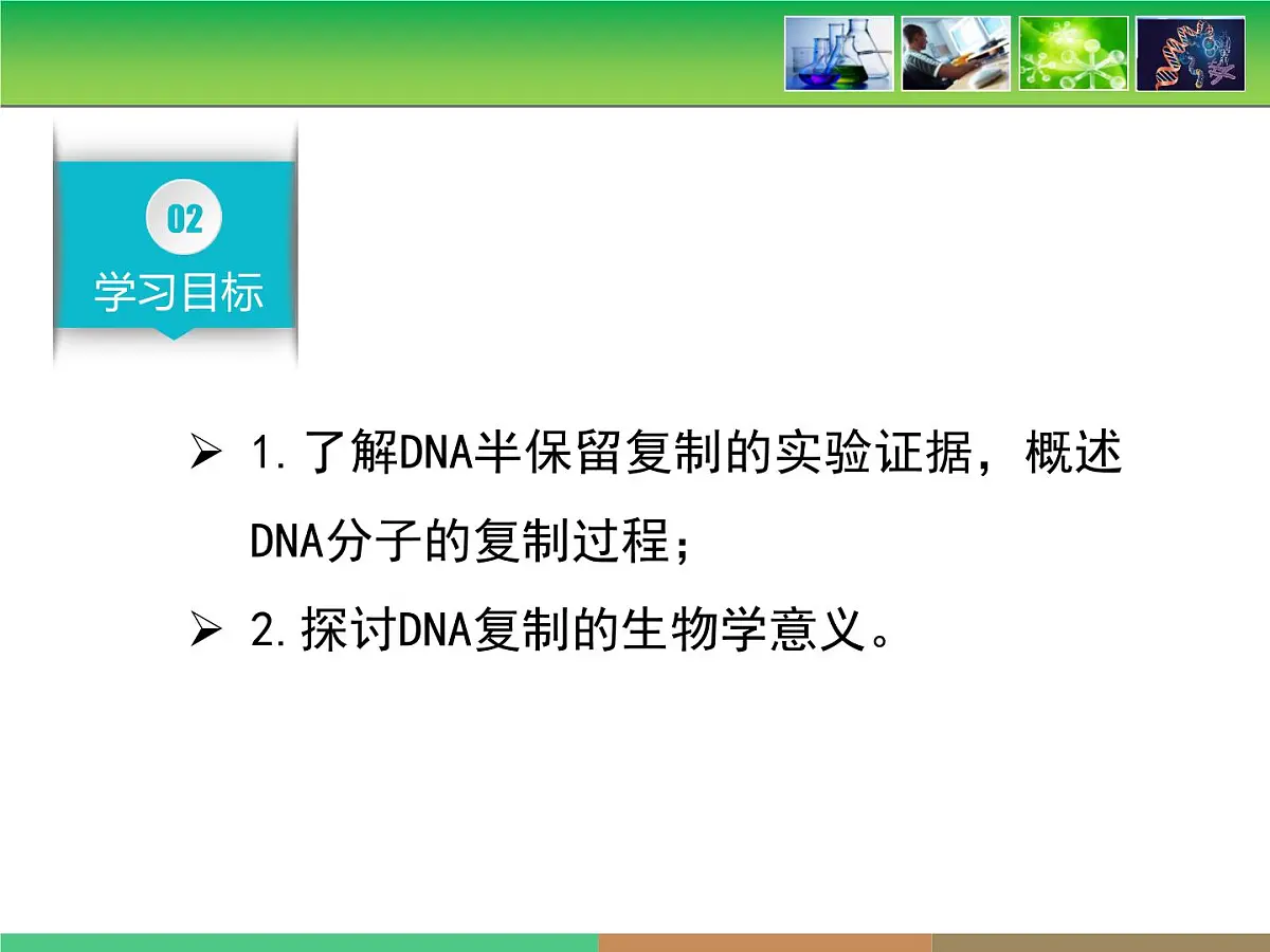 人教版 (新课标)高中生物 必修2 3-3《DNA的复制》课件第4页