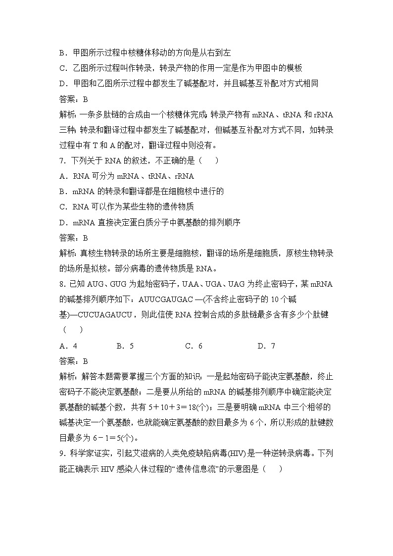 人教版 (新课标)高中生物必修2 第四章《基因的表达》通关套卷(二)无答案第3页