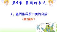 高中生物人教版 (新课标)必修2《遗传与进化》基因指导蛋白质的合成评课ppt课件