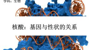 生物必修2《遗传与进化》基因对性状的控制复习ppt课件