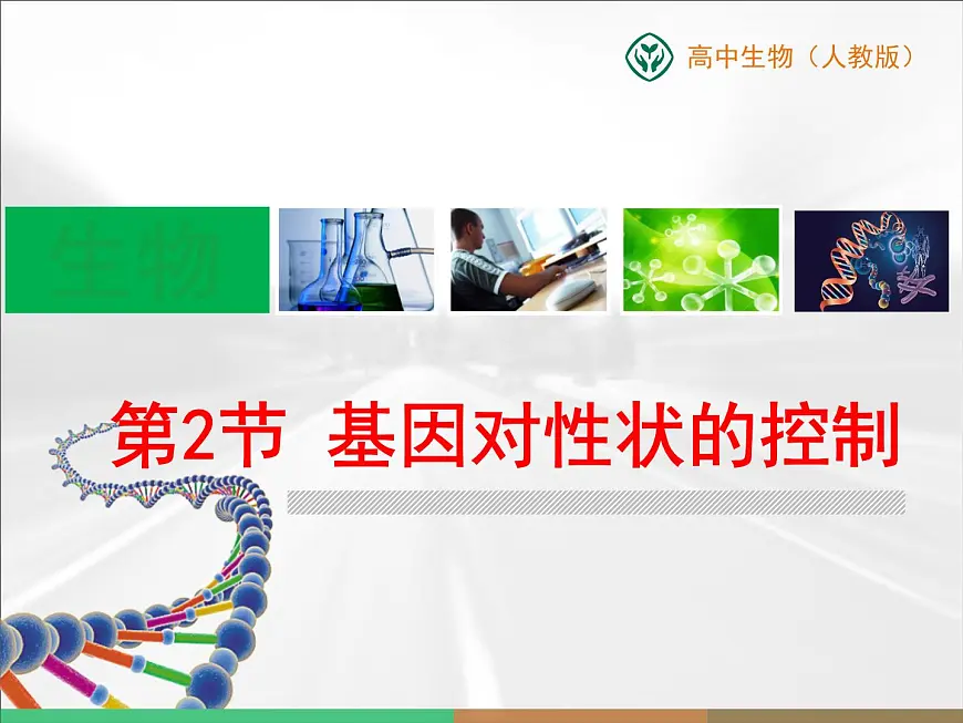 人教版 (新课标)高中生物 必修2 4-2《基因对性状的控制》课件第1页