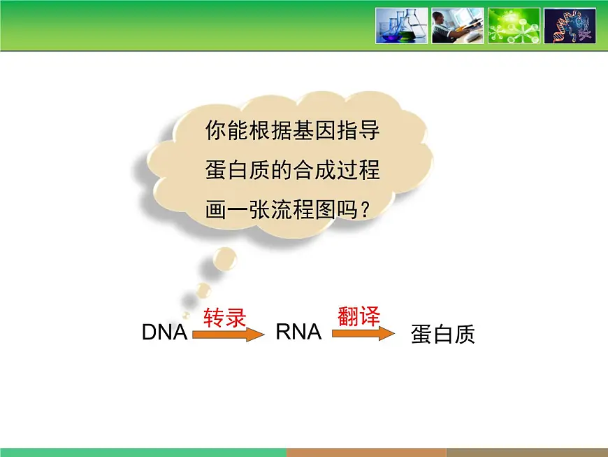 人教版 (新课标)高中生物 必修2 4-2《基因对性状的控制》课件第7页
